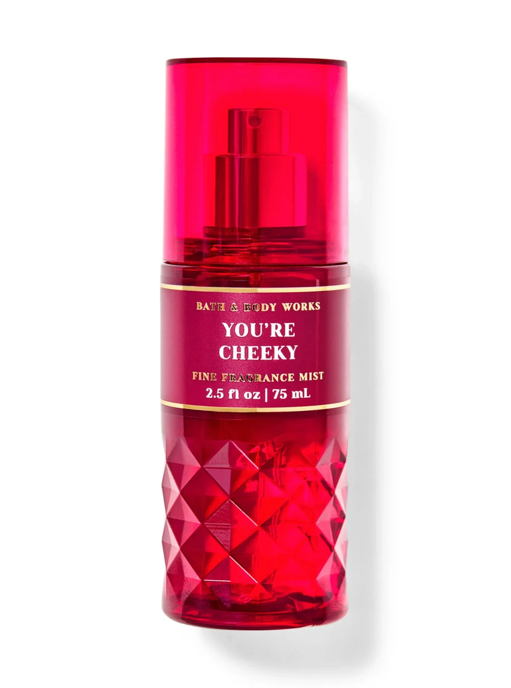 BATH&BODY WORKS YOURE CHEEKY SPRAY