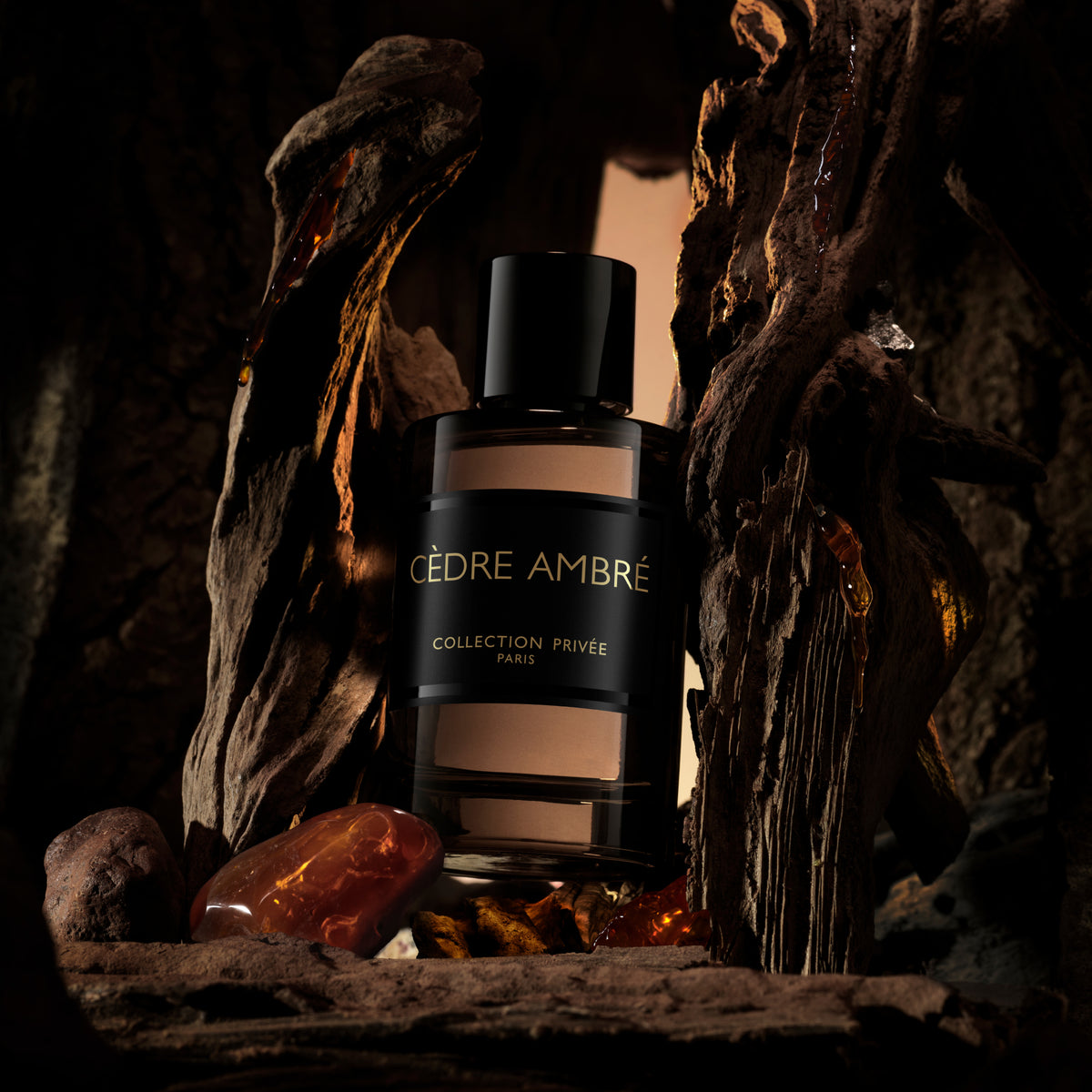 Collection Privée Paris Cèdre Ambré Eau de Parfum 100 ml
