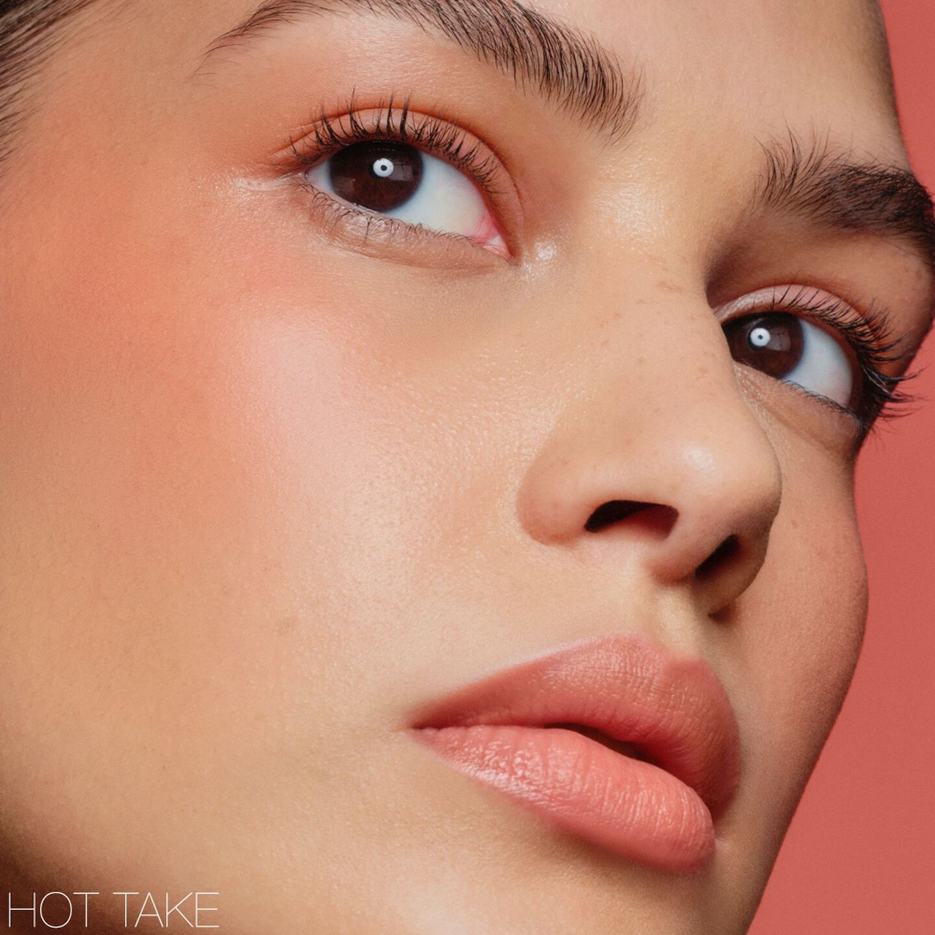 NARS THE MULTIPLE HOT TAKE