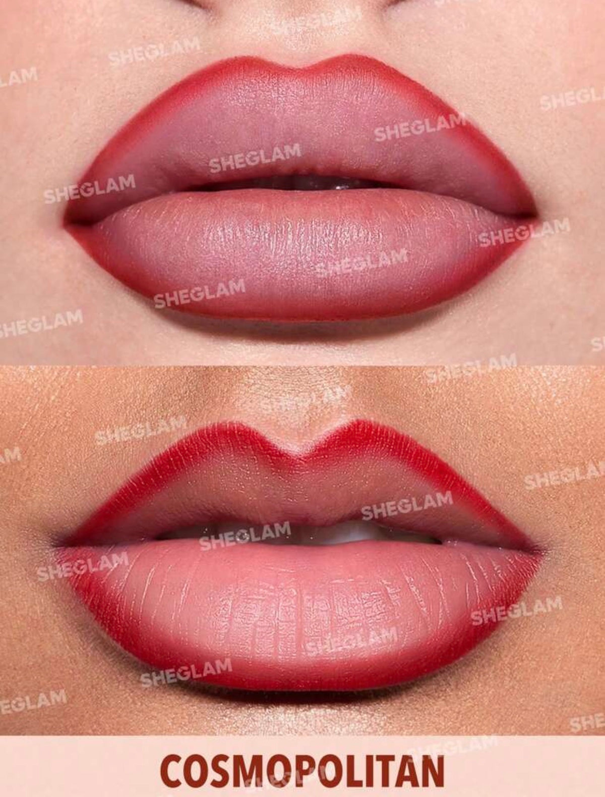 SHEGLAM Lip Facts Crayon à
LèVres-